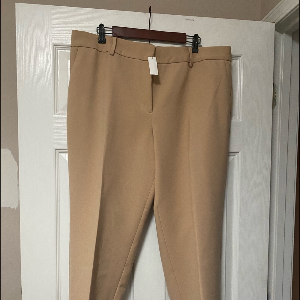 Talbots Spring pants
